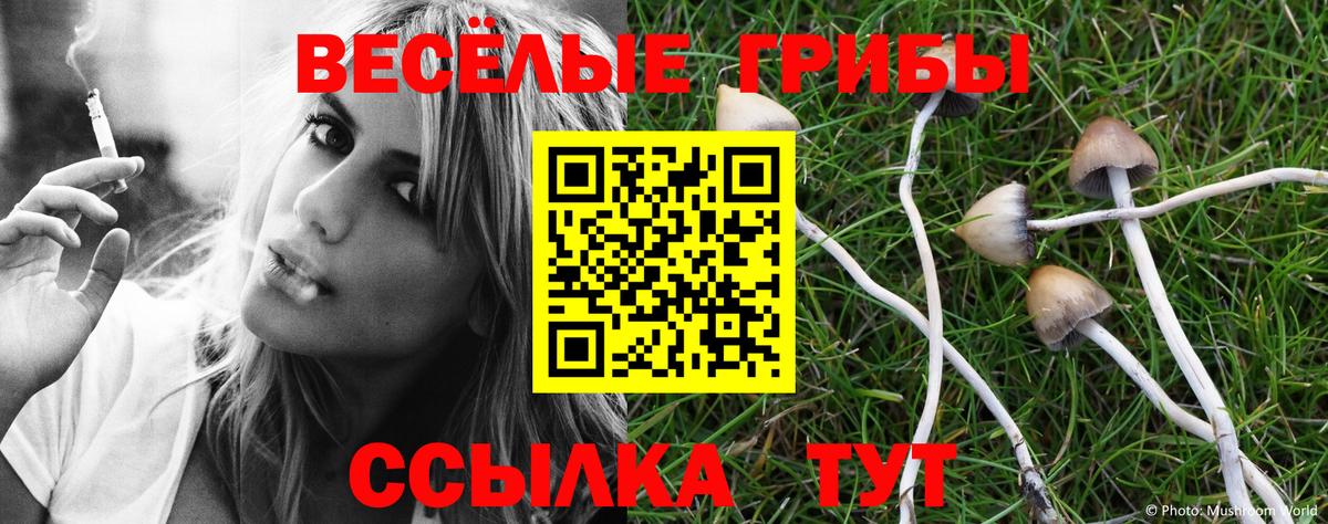 Якутск  Псилоцибиновые грибы GOLDEN TEACHER  Вход с VPN 
